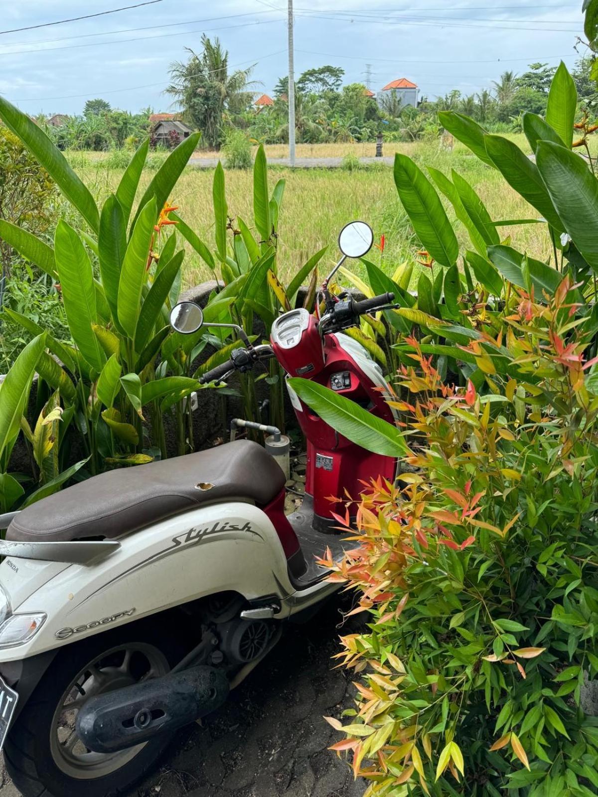 Mandala Rengganis Ubud View Private Villa By Eps Exterior photo